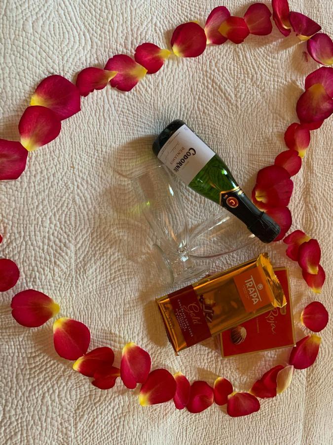 Jardi De Papallones Pollenca Ngoại thất bức ảnh